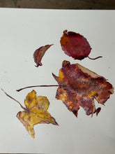 Load image into Gallery viewer, Autumn Leaves – Watercolour Still Life