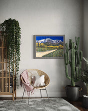 Load image into Gallery viewer, Cordón del Plata, Mendoza