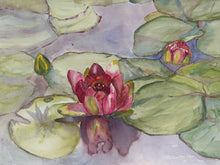 Load image into Gallery viewer, Lily Pad Study — Watercolour on Paper