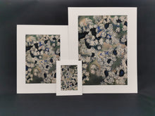 Load image into Gallery viewer, An A4 print of Snowy Pine Trees seen from Above with a 16"x12" mount