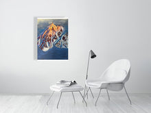 Load image into Gallery viewer, 9111818-3686777
