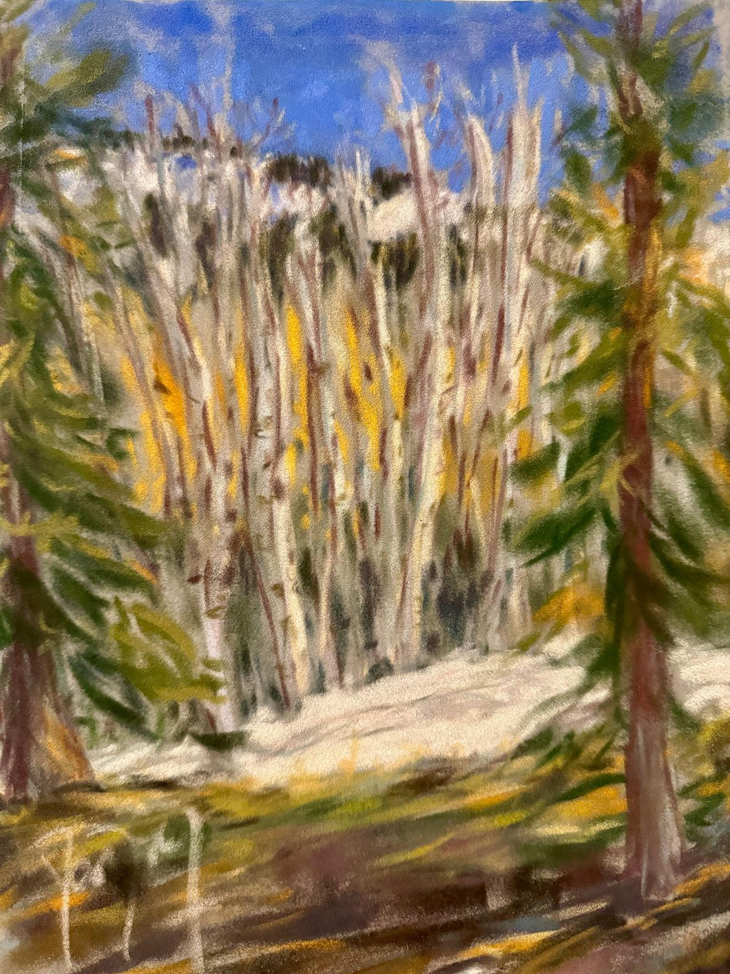 Aspens from the Timberline Condominium Plein Air Soft Pastels Painting