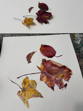 Load image into Gallery viewer, Autumn Leaves – Watercolour Still Life
