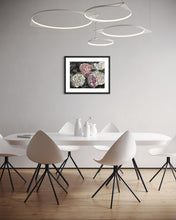 Load image into Gallery viewer, 🌸 Peonies in Light
